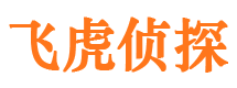 卢氏捉小三公司